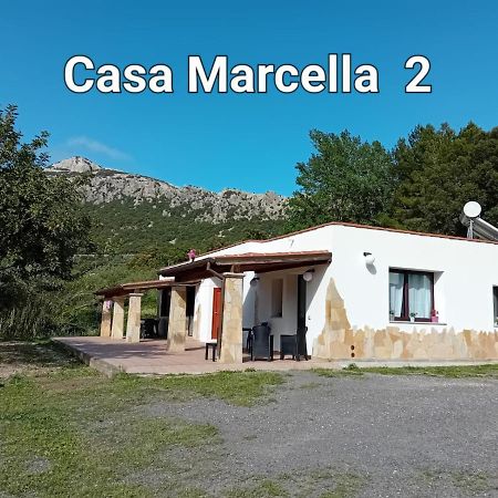 ドルガーリCasa Marcellaアパートメント エクステリア 写真