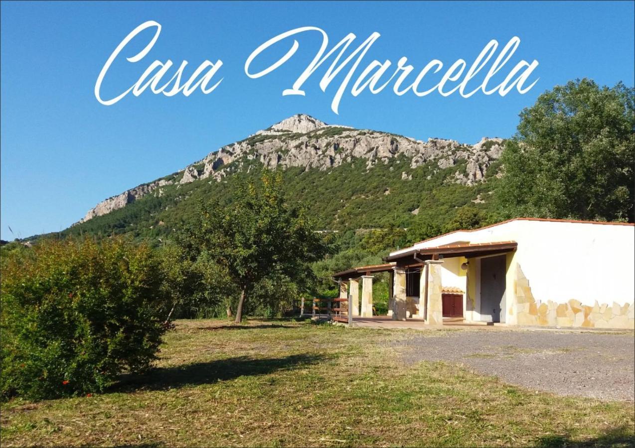 ドルガーリCasa Marcellaアパートメント エクステリア 写真