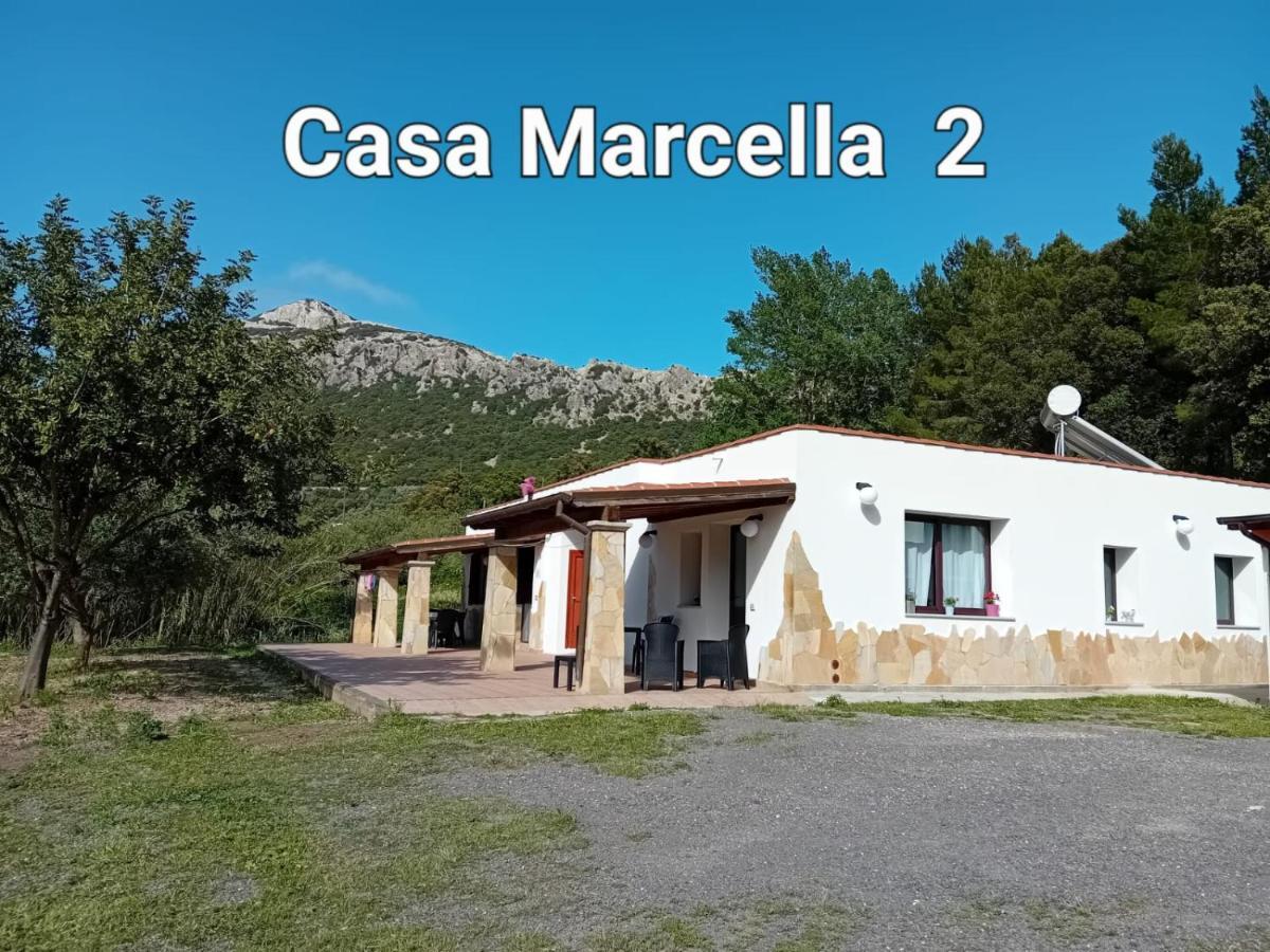 ドルガーリCasa Marcellaアパートメント エクステリア 写真